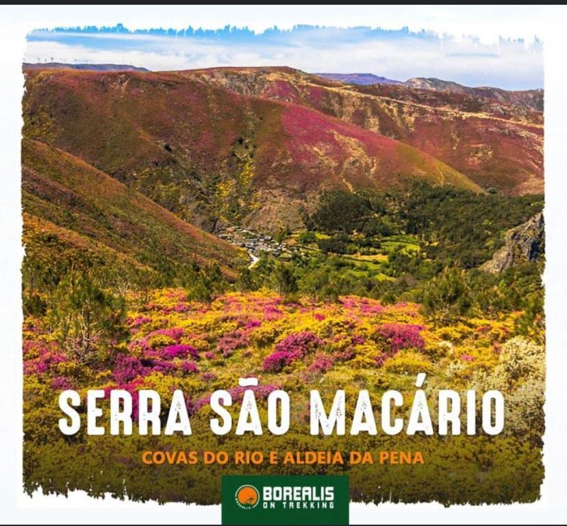 사오페드로도술 Terraco D'Aldeia 빌라 외부 사진